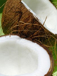 Learn how to preserve a coconut shell for craft projects.