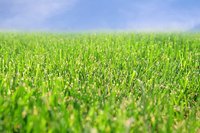 Attend to your lawns with a John Deere L100.