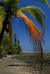 Panamanian real estate records are kept at the Public Registry.