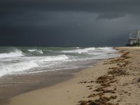 A typhoon's winds can blow in excess of 155 mph.