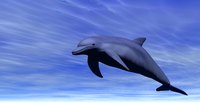 With a little time and patience, forming chicken wire to create a dolphin is fun.