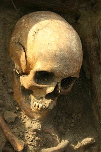 A fake skull can look real or obviously for decoration.