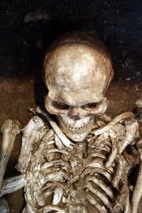 Make a fake skeleton look real with a little paint.