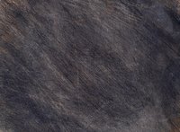 Unprimed wood may absorb paint, becoming gray instead of black.