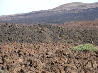 Shield volcanos have low arched peaks.