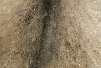 Deerskin
