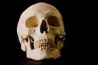 You can use a photo of a skull to help when painting your mask.