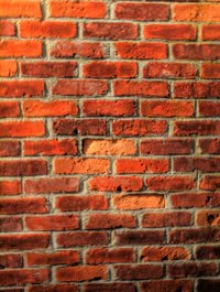 Staining mortar joints.
