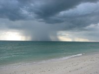 Typhoons are major tropical storms that can wreak havoc on everything in their path.