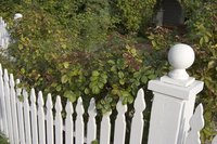 A closed gate is critical for peace of mind.