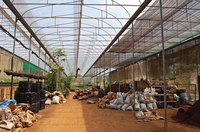 You can buy fertilizer in bulk, but don't apply it in bulk.