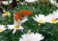 Create a fresh, spring themed April newsletter.
