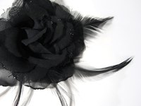 True black is not a natural rose color.
