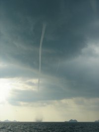 Muslin was used to simulate a tornado in the "Wizard of Oz."