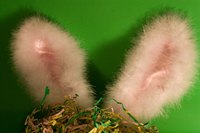Create your own pair of bunny ears for Halloween or a costume party.