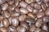 Make these beans colorful and fun by dying them.
