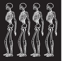 Skeletons make great Halloween decorations.