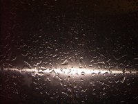 Galvanized steel