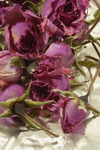 Preserve flowers and use them in home decor.