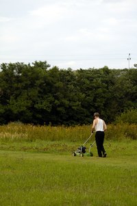 A Toro mower can be used for mulching grass as it is cut, returning nutrients back into the soil.