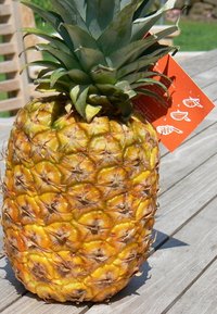 A pineapple-themed costume can be very creative and unique.