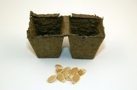 Biodegradable germinating pots