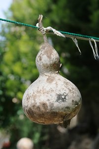 Painted Gourd Birdhouse
