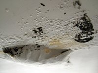 A leaking dryer vent increases moisture that can lead to mold growth.