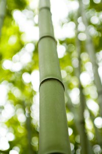 Block bamboo yarn gently.