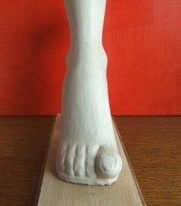 You can use alginate to make a mold of your foot.
