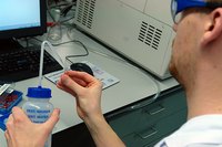 Find out if lab work is for you by volunteering for positions in professor labs.