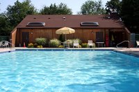 Parasites in your pool can spread quickly if the water is left untreated.