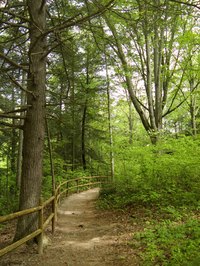 Grants can finance the construction of walking trails.