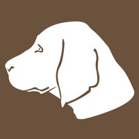 Virginia dog kennel requirements apply to an entity that is housing five or more dogs.