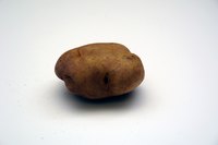 Make your own potato costume.