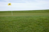 Having a backyard putting green is a dream for many.