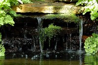 Ecotourism provides a travel experience of immersion in a local culture.