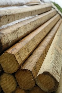 The forest industry is a primary industry that harvests a natural resource.