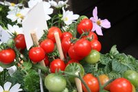 Tomatoes are a perfect addition to salads, soups and other dishes.