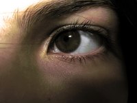 Sociopathic behavior often continues into adulthood.