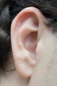 Circular barbells are commonly worn in ear piercings.