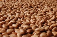Beans are a great source of protein and fiber.