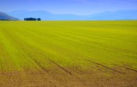 Pennsylvania agricultural grants can help to grow and conserve farmland in the state.