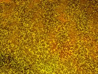 You can make foam latex rubber from two chemical substances.