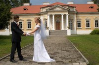 Help couples plan their weddings by starting a business.