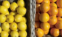 Each lemon or orange tree yield around 100 fruits per season.