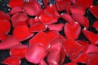 Create decorative jewelry using rose petals and resin.