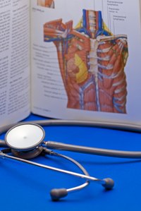 Complexities of the human anatomy are often explained using part models