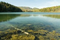 Acadia National Park in Maine is a popular place to camp.