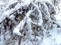 You'll appreciate warm fabrics during the next blizzard.